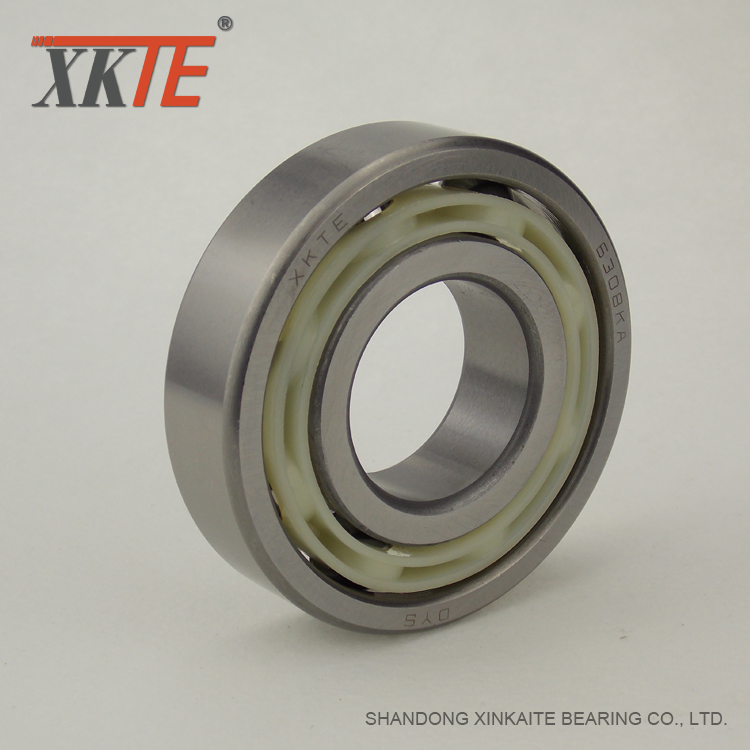 Nylon 66 Retainer Bearing