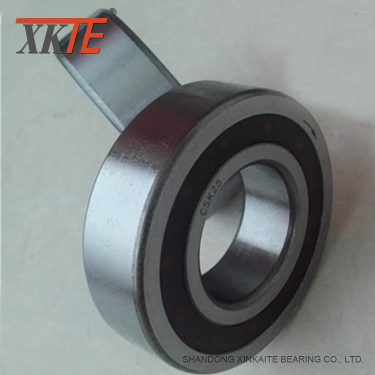 One Way Clutch Bearing Csk25